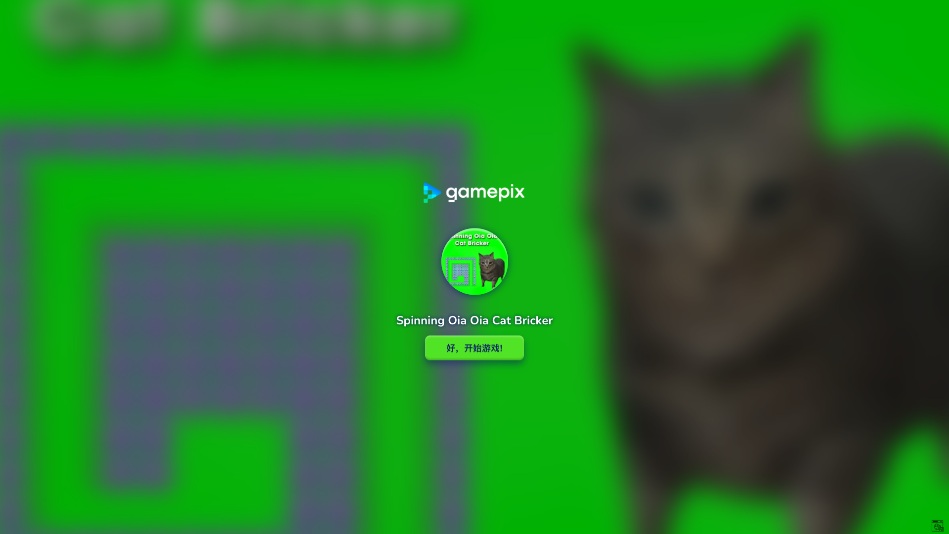 Hands-on capture of Spinning Oia Oia Cat Bricker (Title / loading screen)